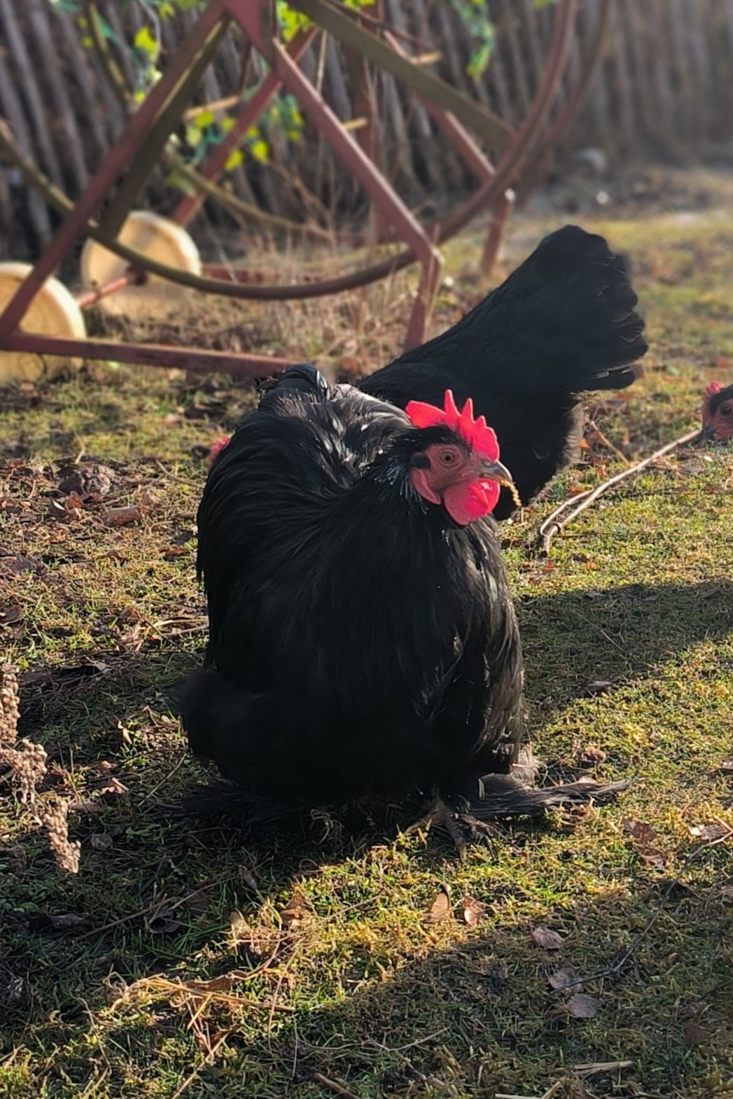 Natürliche Umgebung mit ruhiger Atmosphäre