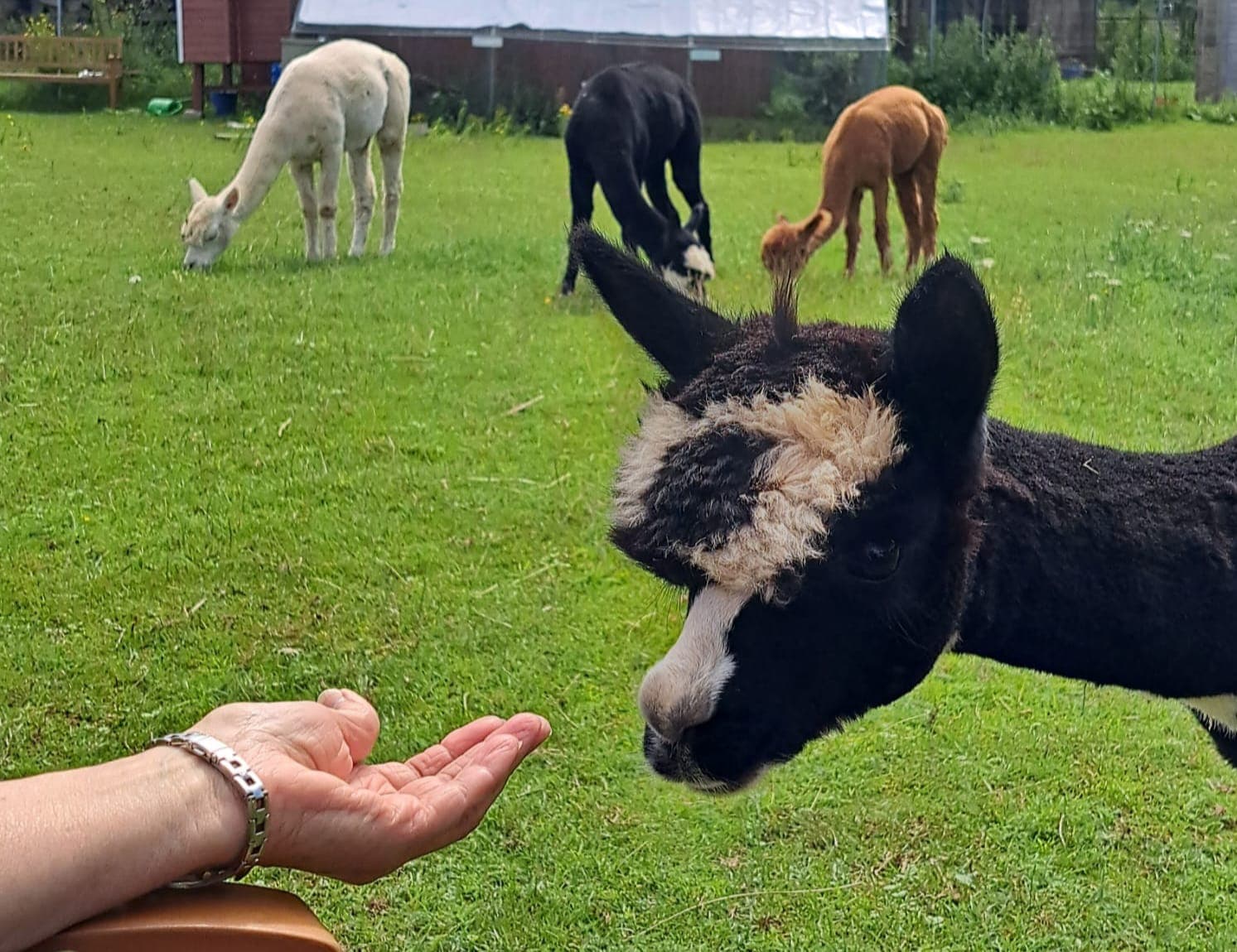 Umgebung der Praxis im Grünen